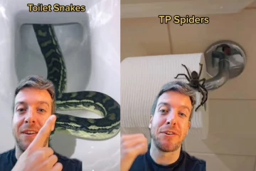 டாய்லெட்டில் பாம்புகளா... எல்லாம் பொய் என்கிறார் இந்த கனேடியர்: ஒரு சுவாரஸ்ய செய்தி