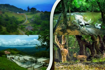 இந்தியாவின் ஸ்காட்லாந்து 'குடகு' இந்த இடத்திற்கு போனதுண்டா? சொர்க்கத்தின் வாசல்