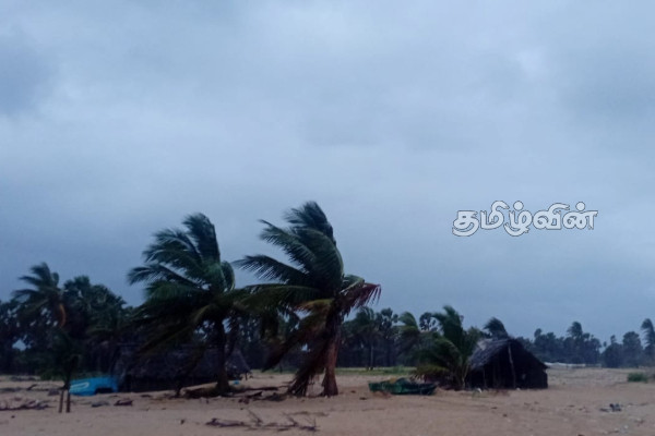 யாழ்ப்பாணம் - வடமராட்சி கடற்பரப்புகளில் பதிவான பலமான காற்று | Strong Winds Blowing Jaffna Vadamaratchi Sea Areas