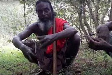 தமிழர் பகுதியில் பொந்து தேன் எடுக்கும் அரிய காட்சி