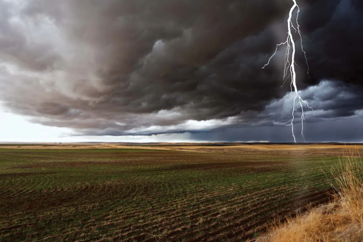 வடக்கு உள்ளிட்ட பல பிரதேசங்களுக்கு இடியுடன் கூடிய மழை | Thunderstorms Expected In Several Regions வடக்கு உள்ளிட்ட பல பிரதேசங்களுக்கு இடியுடன் கூடிய மழை | Thunderstorms Expected In Several Regions