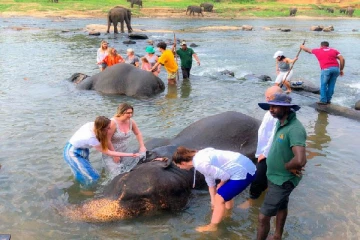 இலங்கை வரும் சுற்றுலா பயணிகளுக்கு அரியவாய்ப்பு : முதலிடத்தில் உள்ள நாடு எது தெரியுமா..!