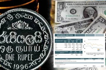 නවතම දත්ත වාර්තා අනුව ශ්‍රී ලංකා රුපියල ගැන අසුබ ආරංචියක්..2025 වසරේ සිදු වූ දේ මෙන්න.