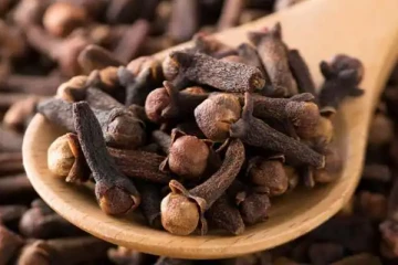 சர்க்கரை நோயை உடனே விரட்ட கிராம்பை இப்படி பயன்படுத்தி பாருங்க! உடனடி தீர்வை பெறலாம்