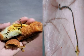 யாழில் வெதுப்பகம் ஒன்றில் ரொட்டி ரோல் வாங்கியவருக்கு காத்திருந்த அதிர்ச்சி!