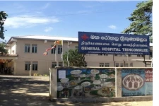 யானையின் தாக்குதலுக்கு இலக்காகிய இளைஞரொருவர் அதிதீவிர சிகிச்சை பிரிவில்