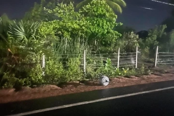 வவுனியா - கமநல அபிவிருத்தி திணைக்கள நீரேந்து பிரதேசத்தில் கம்பி வேலி அமைப்பு(Photos)