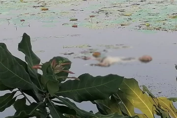 முல்லைத்தீவில் குளம் ஒன்றில் இருந்து சடலம் மீட்பு (PHOTOS)