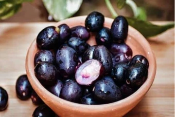 ஒரு பழம்... ஓஹோன்னு வாழ்க்கை!.. இத்தனை நோய்கள் தீருமா?