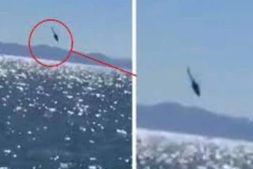 கடலில் விழுந்து விபத்துக்குள்ளான ஹெலிகாப்டர்... 3 கடற்படை வீரர்களுக்கு நேர்ந்த சோகம்!