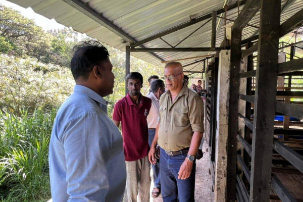 මහබේරියතැන්න NLDB ගොවිපළේ කෝපි අවන්හල සංචාරක ආකර්ෂණයක් බවට සැලසුම් කරන්න පියවරක් | Minister Lal Inspects Mahaberiyatenna Nldb Farm