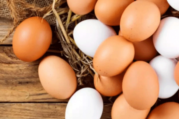 மீண்டும் முட்டைக்கு தட்டுப்பாடு | A Shortage Of Eggs Again