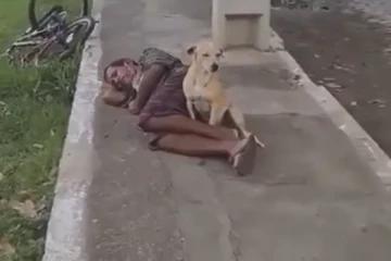 மயங்கி கிடக்கும் உரிமையாளர்....யாரையும் நெருங்க விடாது பாதுகாக்கும் பாசக்கார நாய்!