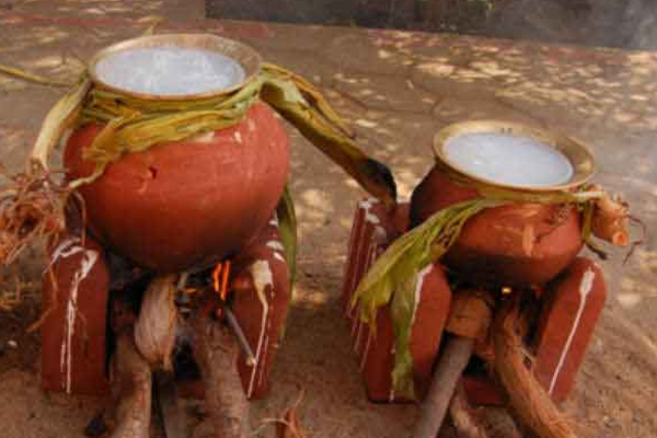 2026 பொங்கல்: தவறியும் இந்த திசையில் மட்டும் வைத்து விடாதீர்கள் | Best Direction To Place Pongal Pot According Vastu