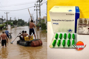 ගංවතුර හේතුවෙන් මී උණ අවදානම ඉහළ යාමත් සමඟ නොමිලේ මී උණ පෙති