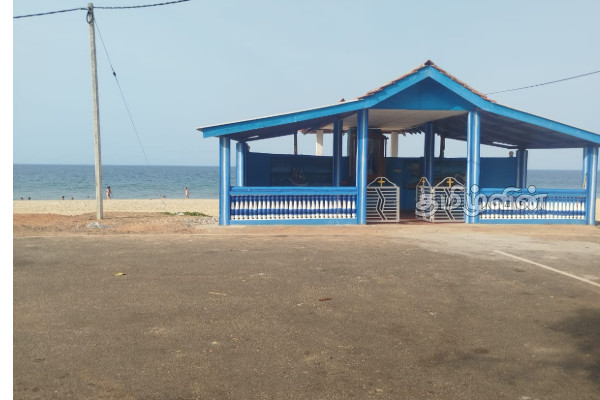 வெளிநாட்டு சுற்றுலாப் பயணிகளை ஈர்க்கும் தாளையடி கடற்கரை....! | Thalayadi Beach Attracts Foreign Tourists