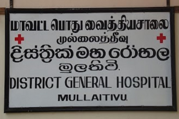 குளவி கொட்டிற்கு இலக்கான பாடசாலை மாணவர்கள் | School Children Targeted By Wasp Nest