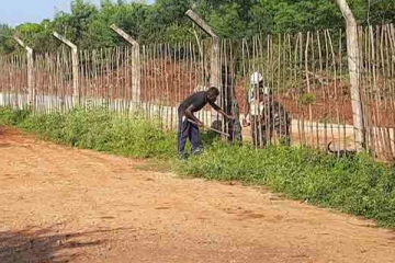 யாழில் காணிகளை விரைவில் விடுவிக்க இராணுவம் நடவடிக்கை