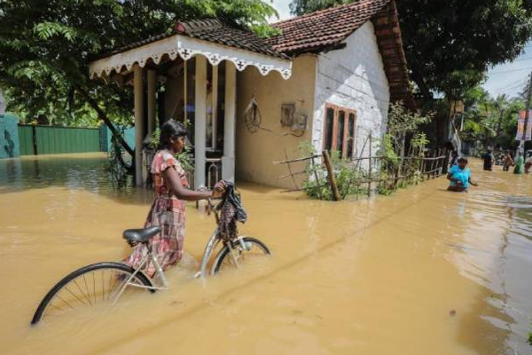 யாழில் பெய்த கனமழையால் ஏற்பட்டுள்ள பாதிப்பு! | The Damage Caused By The Heavy Rains In Jaffna