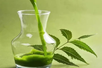 தினமும் காலையில் வேப்பில்லை சாறு குடிப்பதால்.. உடலுக்கு கிடைக்கும் நன்மைகள்!