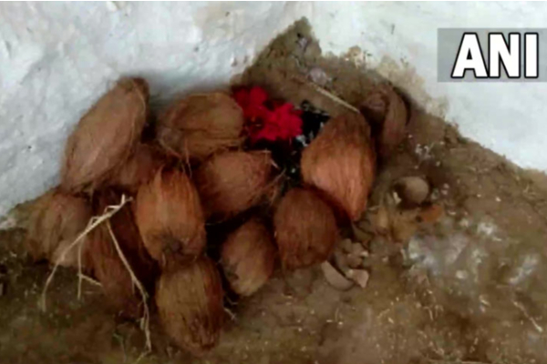 மூன்று கண்களுடன் பிறந்த கன்றுக்குட்டி: கடவுளின் அவதாரம் என போற்றும் மக்கள் | 3 Eyed Calf Born In India