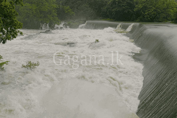 ගංඟාවල ජල මට්ටම් නිවේදනය කරන වෙබ් අඩවියක්. | A Website That Announces Water Levels In Rivers