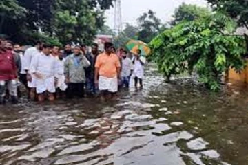 அண்ணாமலையை அசிங்கப்படுத்திய வயதான பாட்டி! ட்ரண்டாகும் காணொளி.... குஷியில் நெட்டிசன்கள்