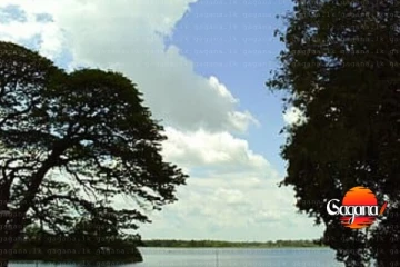 වැව් රක්ෂිත 23ක් ආරක්‍ෂා කිරීමට පියවර