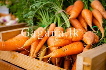 කැරට් මිලෙහි හදිසියේම සිදු වූ වෙනස.