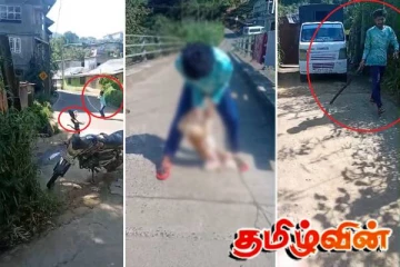 நானுஓயாவில் கொடூரமாக தாக்கப்பட்ட நாய்! பதைபதைக்க வைக்கும் காணொளி..