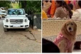 அம்பானி வீட்டு நாய்க்கு சொந்தமான Mercedes கார் - அதன் விலை எவ்வளவு தெரியுமா?