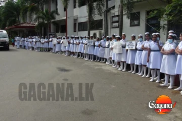 හෙදියකට එරෙහිව තවත් පිරිසක් පාරට