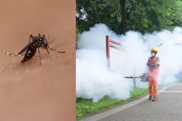 மீண்டும் ஒரு கொள்ளைநோய்? சீனாவில் பரவும் வைரஸ் தொற்றால் அச்சம்