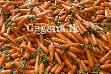 ඉතිහාසයේ පළවෙනි වතාවට, තරු පෙන්නපු කැරට් - කීයද කියලා දන්නව ද?.