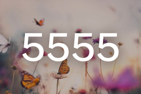 இந்த ஒரே எண் ஒருவரை கோடீஸ்வரராக மாற்றும் - இது எதில் செயற்படும்? | Numerology Angel Number 5555 Will Make Millionaire