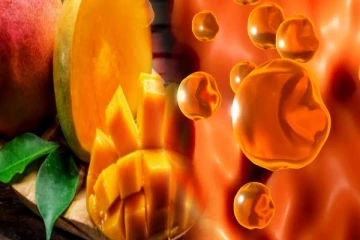 கெட்ட கொழுப்புகள் கரையணுமா? வீட்டில் மாம்பழம் இருந்தாலே போதும்- அவசியம் தெரிஞ்சிக்கோங்க