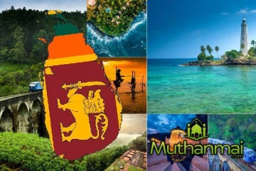 சுற்றுலாப்பயணிகளின் வருகையில் பதிவான மாற்றம்