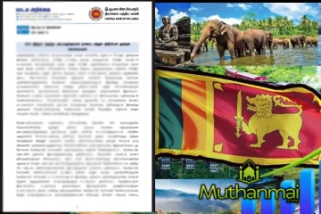 இலங்கைக்கு அதிகரித்துள்ள வருமானம்! மத்திய வங்கி வெளியிட்ட அறிக்கை
