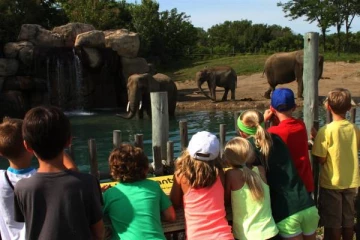 12 வயதுக்கு உட்பட்ட இலங்கை சிறுவர்களுக்கு வழங்கப்படும் இலவச வாய்ப்பு