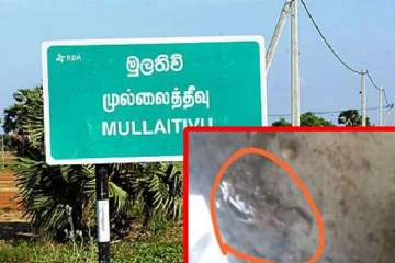 முல்லைத்தீவு பாடசாலை ஒன்றின் அவல நிலை... குடிநீரில் விலங்கின் சடலங்கள்!