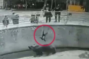 பெற்ற குழந்தையை கரடி குழிக்குள் தூக்கி வீசிய தாய்: பதற வைக்கும் காட்சி