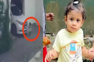 சிறுமிக்கு எமனாக மாறிய தாயின் சகோதரர் - கண்காணிப்பு கருவியில் பதிவான சம்பவம்