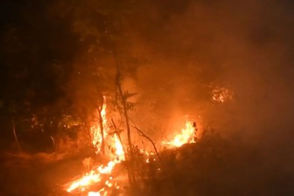 தப்போவ சரணாலயத்தில் தீ பரவல் | Spread Of Fire In Tappowa Sanctuary