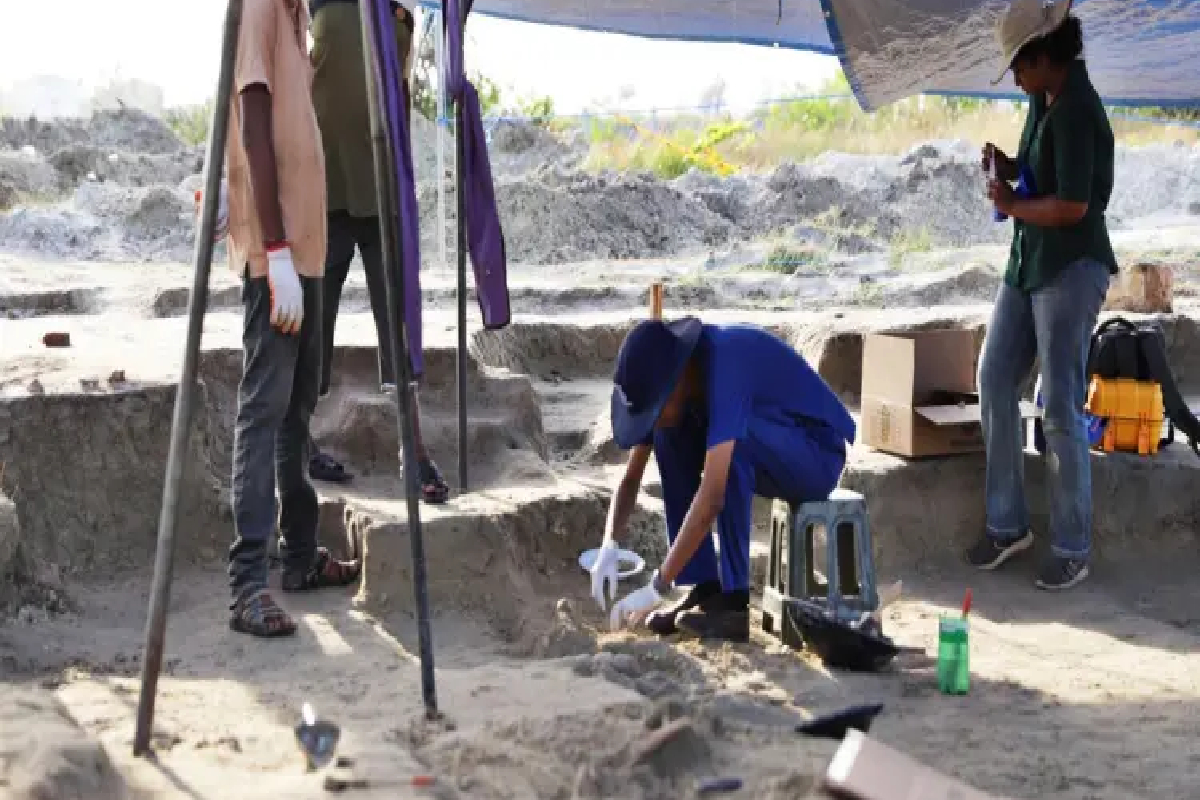 செம்மணி புதைகுழியில் இன்றும் 14 என்புக்கூடுகள் அடையாளம் | 14 More Skeletons Identified Chemmani Mass Grave