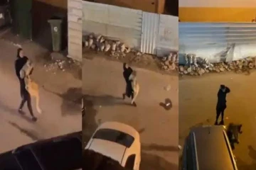 “இனிமேல் வீட்டை விட்டு வெளிய போவியா?” - சிங்கக்குட்டியை அலேக்காக தூக்கிச் செல்லும் இளம்பெண்