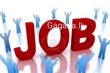 මෙරට ලක්ෂ 12 කගේ රැකියා එකවරම අහිමි වෙයි..