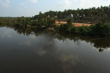 இலங்கையில் இளைஞனுடன் வந்த காதலன் - காதலி செய்த விபரீத செயல்