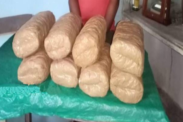 யாழில் மர்மபொருளுடன் 24 வயது இளைஞன் அதிரடி கைது! | 24 Year Old Arrested With Ganja In Jaffna Kopay
