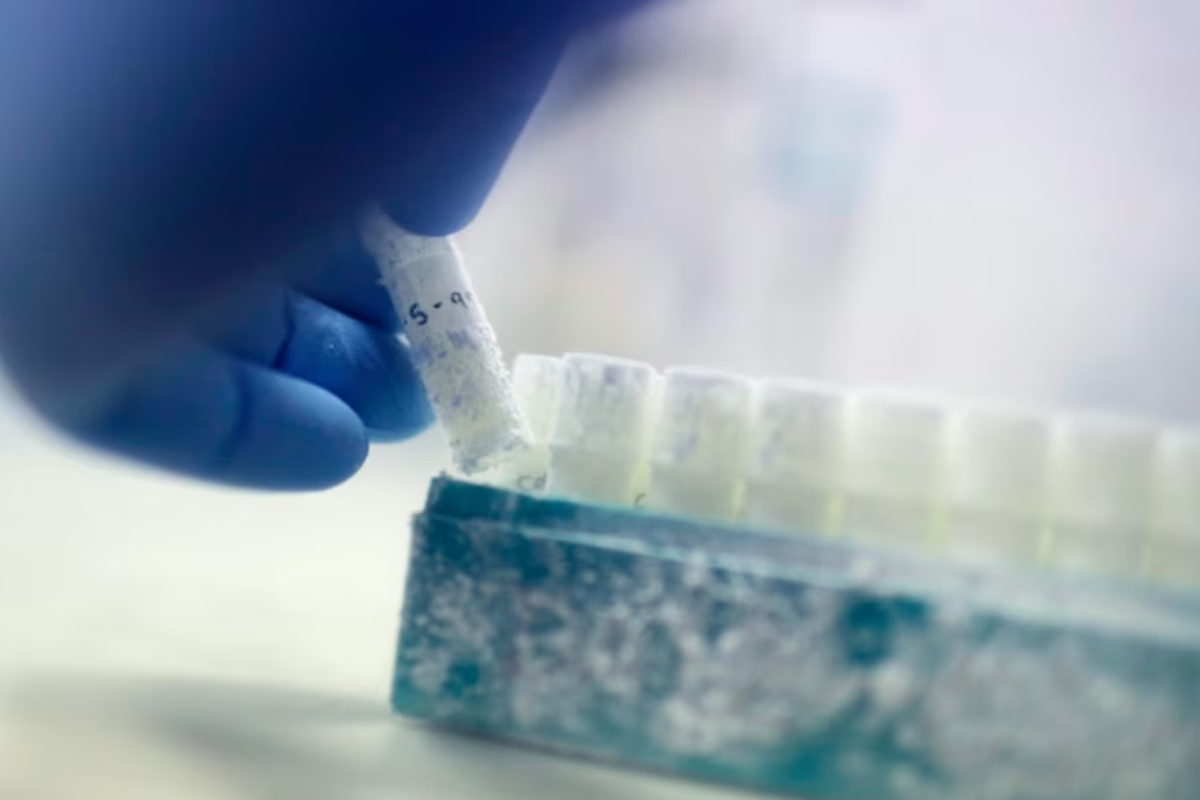 நூற்றுக்கணக்கான குழந்தைகளுக்குத் தந்தை! | Judge Has Blocked Two Men From Donating Sperm