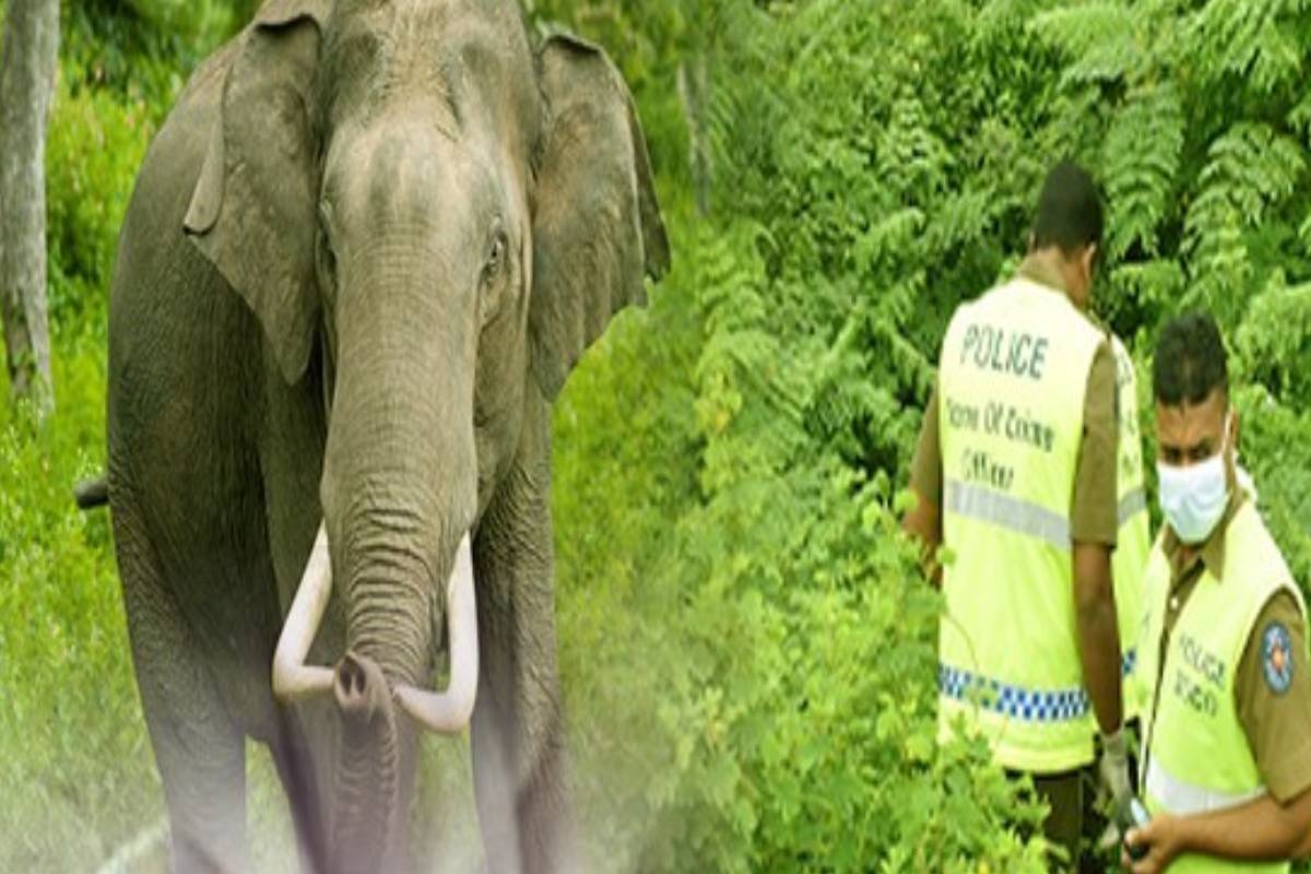 சிவில் பாதுகாப்பு உத்தியோகத்தர் பரிதாப மரணம் | Civil Defence Officer Tragically Dies